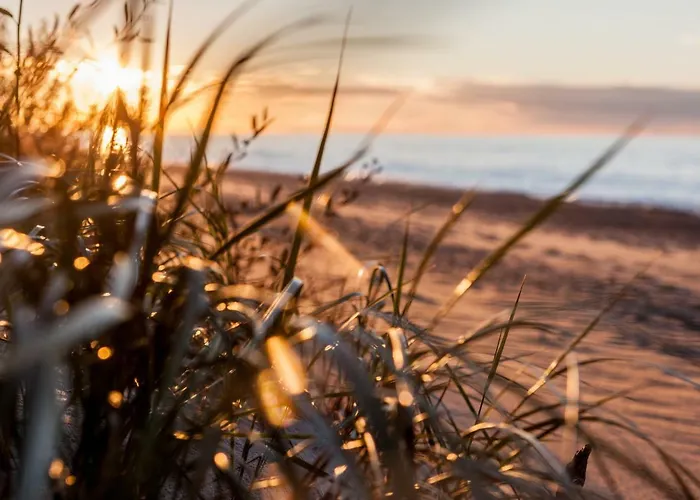 公寓 Jantar Drzymaly